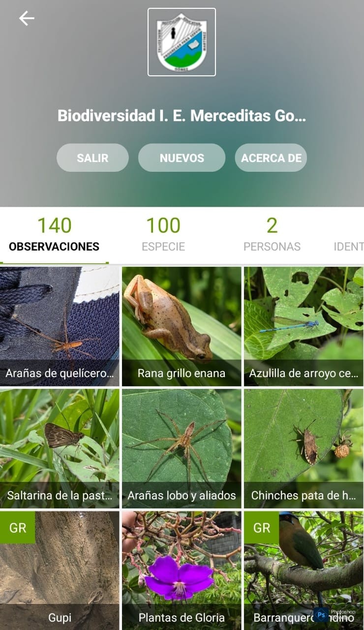 100 ESPECIES
